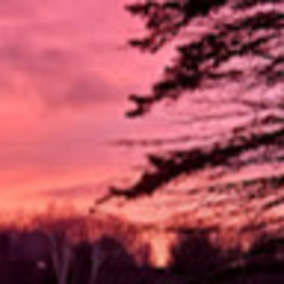 Meet your Posher, Peter - Picture 1 of 1